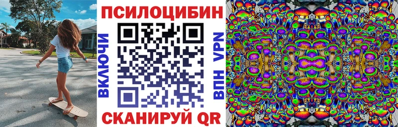 Купить где  Любань  Псилоцибиновые грибы Psilocybine cubensis 